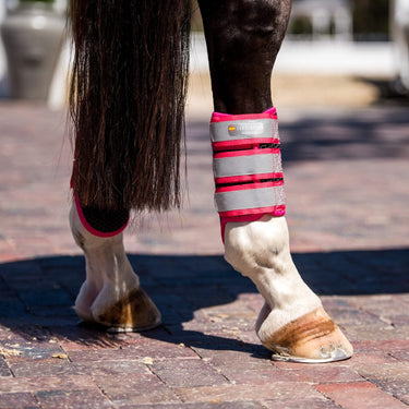 Buy the Equilibrium Breathable Tri-Zone Fluorescent Pink Brushing Boots | Online for Equine