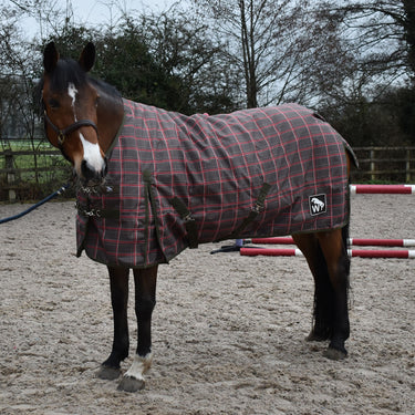 Whitaker Archie 200g Brown Check Turnout Rug