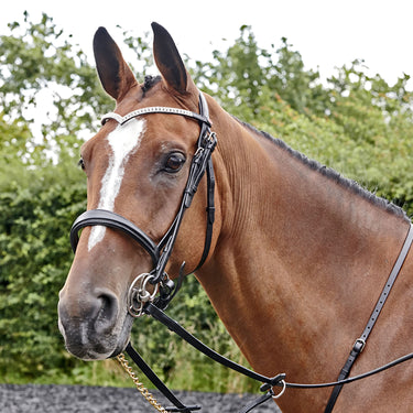 Whitaker Lynton Snaffle Bridle C/W Spare Browband Havana