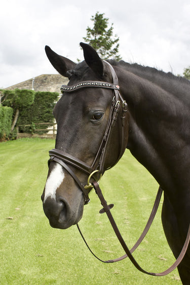 Whitaker Lynton Flash Bridle C/W Spare Browband Black