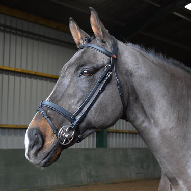 Whitaker Ready To Ride Snaffle Bridle Black