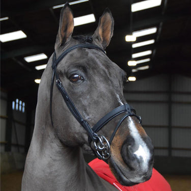 Whitaker Ready To Ride Snaffle Bridle Black