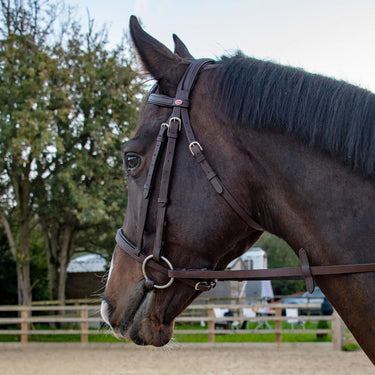 Whitaker Ready To Ride Snaffle Bridle Havana