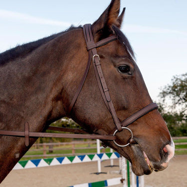 Whitaker Ready To Ride Snaffle Bridle Havana