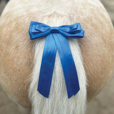 Buy the Equetech Blue Horse Competition Warning Tail Ribbon | Online for Equine