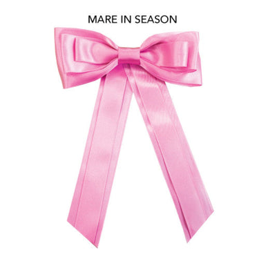 Buy the Equetech Pink Horse Competition Warning Tail Ribbon | Online for Equine