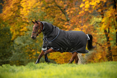 Buy Horseware Ireland Amigo Bravo 12 Plus Detachable Neck 250g Turnout Rug| Online for Equine