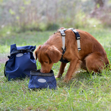 Buy Weatherbeeta Explorer Dog Water/Feed Bowl | Online for Equine