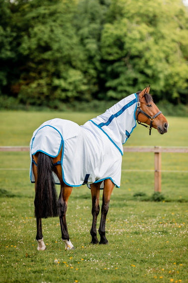 Horseware Ireland Amigo Aussie All Rounder Summer Sheet