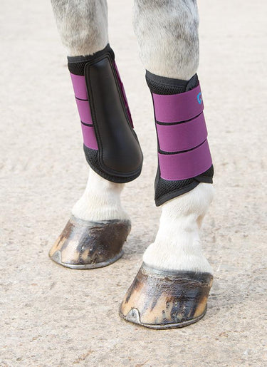 Buy the Shires ARMA Air Motion Plum Brushing Boots | Online for Equine