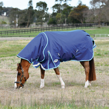 Weatherbeeta Blue/Bright Blue/White Comfitec Ultra Hardi Detach-A-Neck Medium/Lite Turnout Rug