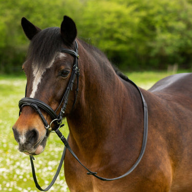 Buy Gallop Comfort Bridle + Rubber Reins| Online for Equine