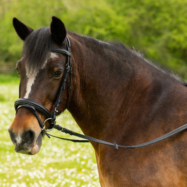 Gallop Comfort Bridle + Rubber Reins