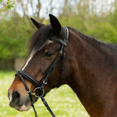 Gallop Comfort Bridle + Rubber Reins