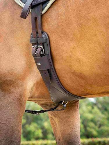 LeMieux Arika Contoured Dressage Girth Brown