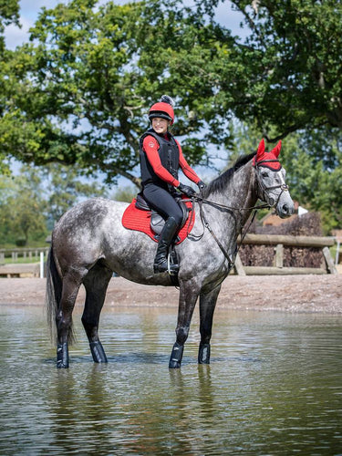 Buy LeMieux Chilli Red Suede GP Square| Online for Equine