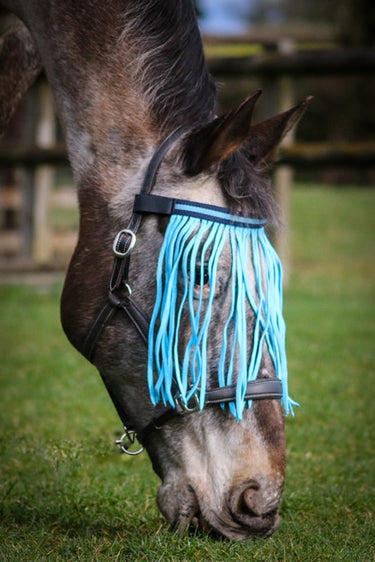 Gallop Fly Fringe