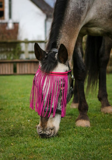 Gallop Fly Fringe