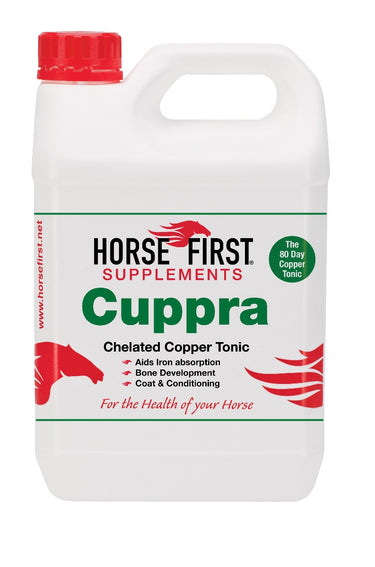 Buy Horse First Cuppra| Online for Equine