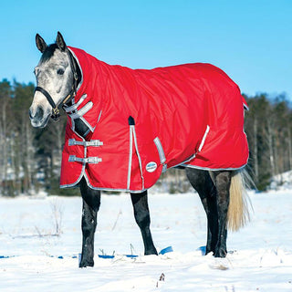 Buy WeatherBeeta ComFiTec Classic 300g Heavyweight Combo Neck Turnout Rug|Online For Equine 