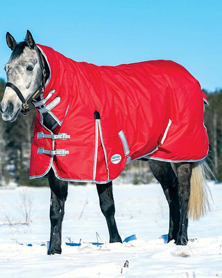 Buy WeatherBeeta ComFiTec Classic 300g Heavyweight Combo Neck Turnout Rug|Online For Equine 