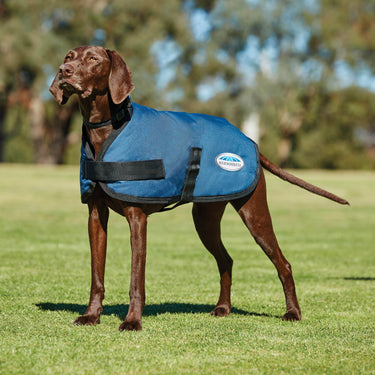 Buy Weatherbeeta Comfitec Classic Dark Blue Dog Coat | Online for Equine