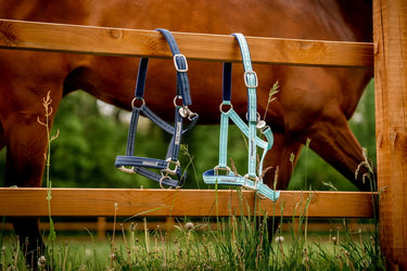 Buy Horseware Ireland Field Safe Headcollar| Online for Equine