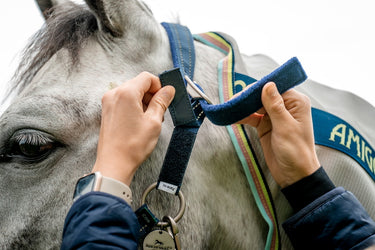 Buy Horseware Ireland Field Safe Headcollar| Online for Equine