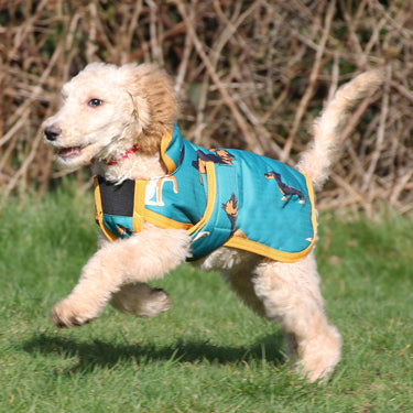 Buy Gallop Dogs Print Dog Coat| Online for Equine