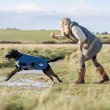 Buy Weatherbeeta Comfitec Classic Dark Blue Dog Coat | Online for Equine