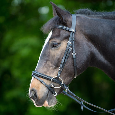 Gallop Padded Bridle + Rubber Reins