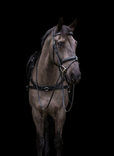 EcoRider Classic Comfort Bridle