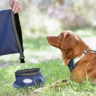 Buy Weatherbeeta Explorer Dog Water/Feed Bowl | Online for Equine