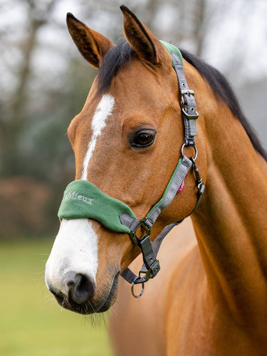 LeMieux Vogue Fleece Hunter Green Headcollar & Leadrope Set