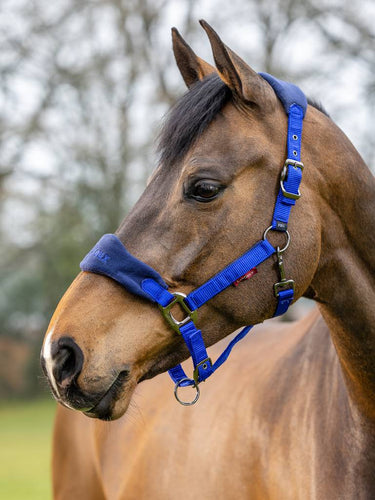 LeMieux Vogue Fleece Navy / Royal Headcollar & Leadrope Set