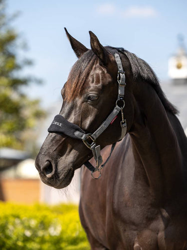 Buy LeMieux Vogue Fleece Black / Grey Headcollar & Leadrope Set| Online for Equine