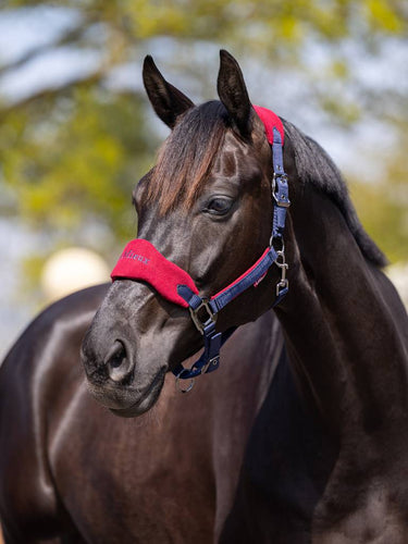 LeMieux Vogue Fleece Burgundy Headcollar & Leadrope Set