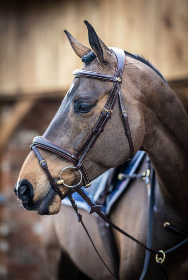 Buy LeMieux Kudos Competition Havana Flash Bridle | Online for Equine