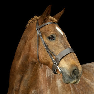 Gallop Hunter Bridle