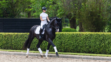 LeMieux ProSport White Suede Dressage Square