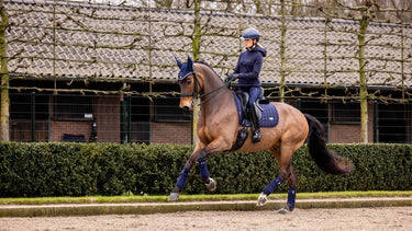 LeMieux Navy Loire Classic Dressage Square