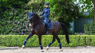 LeMieux Navy Twilight Dressage Pad -Small / Medium