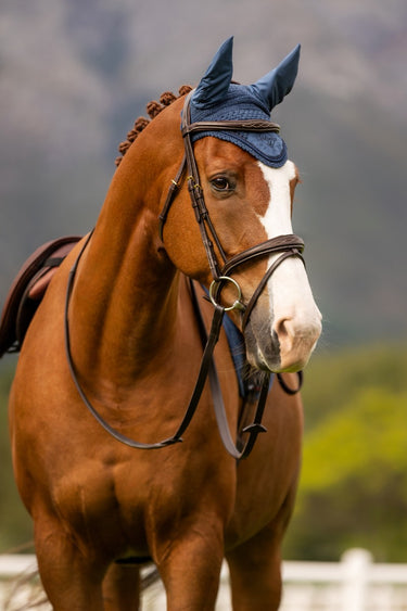 Buy Le Mieux Atlantic Classic Fly Hood| Online for Equine