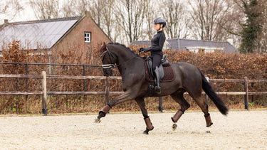 Buy Le Mieux Crystal Suede Dressage Square Brown | Online for Equine