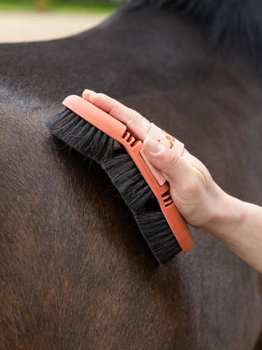 Buy LeMieux Apricot Flexi Horse Hair Body Brush| Online for Equine