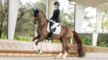 Buy the LeMieux White ProSorb Plain 2 Pocket Dressage Square | Online for Equine