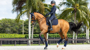 Buy the LeMieux Navy ProSorb Plain 2 Pocket Dressage Square | Online for Equine