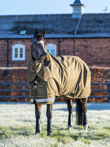 LeMieux Arika Alpine Ripstop 200g Turnout Rug