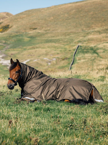 LeMieux Arika Alpine Ripstop 100g Turnout Rug