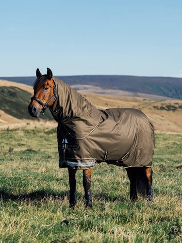 LeMieux Arika Alpine Ripstop 200g Turnout Rug